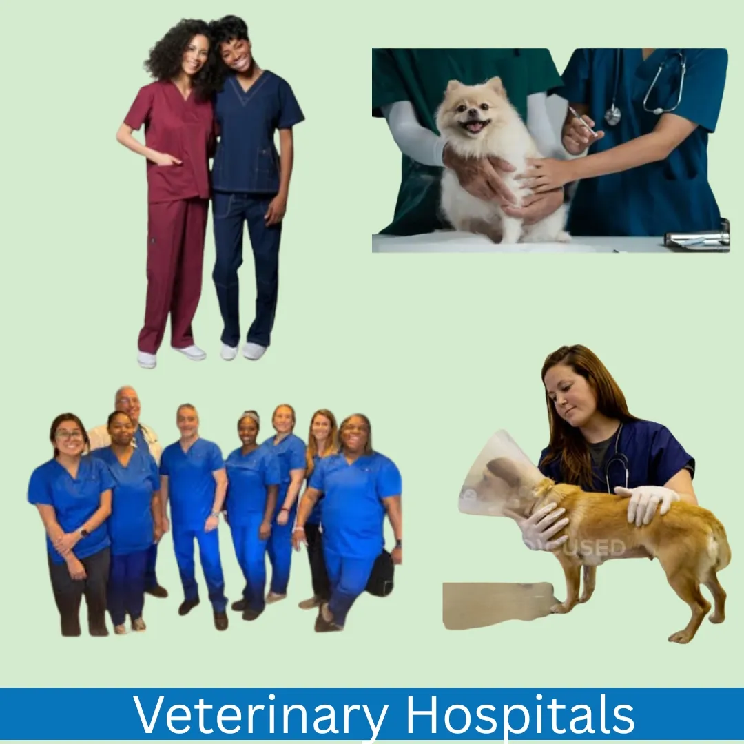 Hospitals & Healthcare Industry (4).jpg